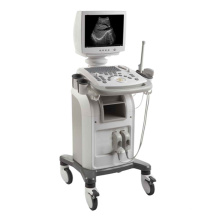 Digital Ultrasound Diagnostic System Portable